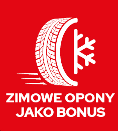 Zimní pneu
